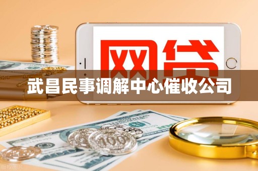 武昌民事调解中心催收公司