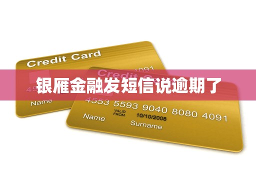 银雁金融发短信说逾期了