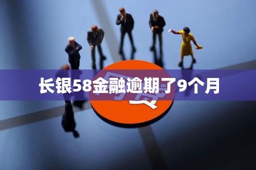 长银58金融逾期了9个月