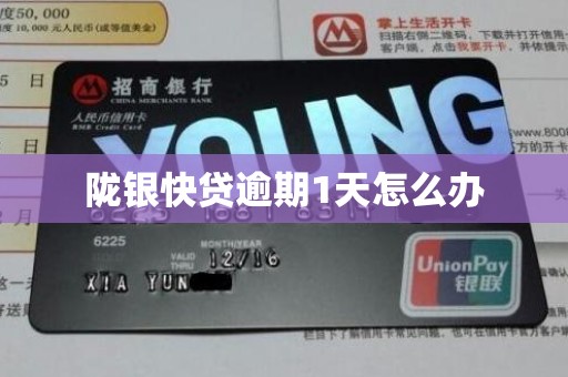 陇银快贷逾期1天怎么办