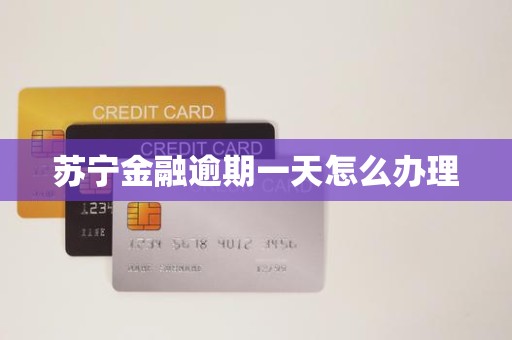 苏宁金融逾期一天怎么办理
