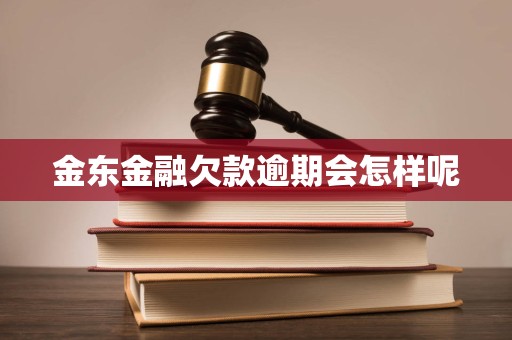 金东金融欠款逾期会怎样呢