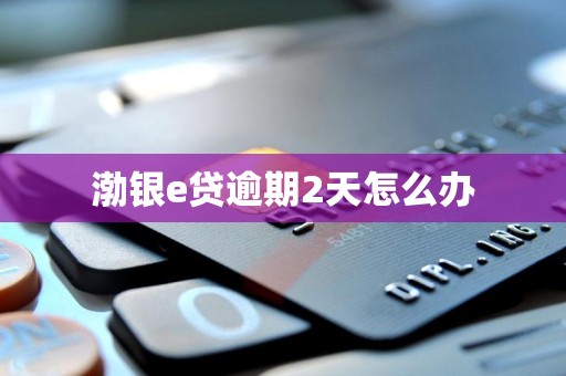渤银e贷逾期2天怎么办