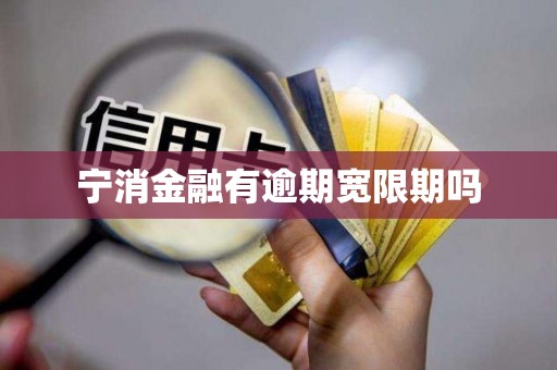 宁消金融有逾期宽限期吗