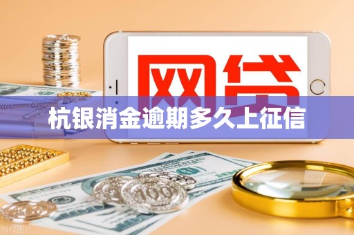 杭银消金逾期多久上征信