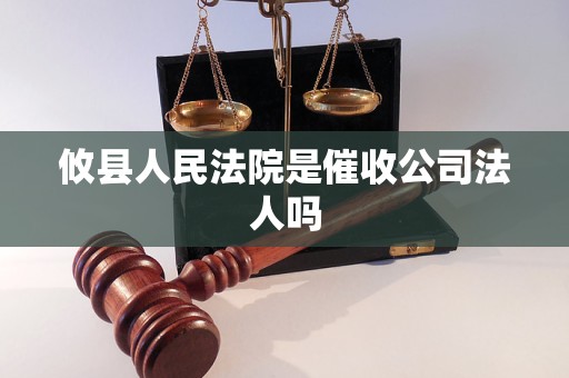 攸县人民法院是催收公司法人吗
