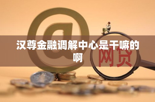 汉尊金融调解中心是干嘛的啊