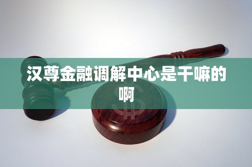 汉尊金融调解中心是干嘛的啊