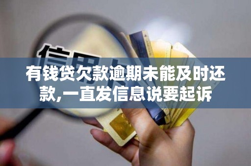 有钱贷欠款逾期未能及时还款,一直发信息说要起诉