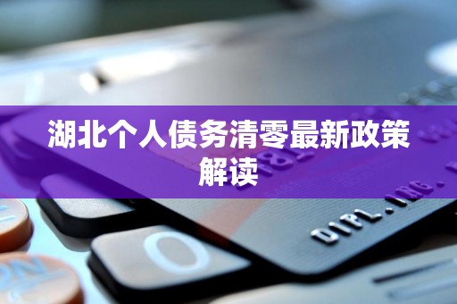 湖北个人债务清零最新政策解读