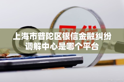 上海市普陀区银信金融纠纷调解中心是哪个平台