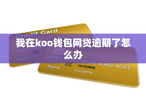 我在koo钱包网贷逾期了怎么办