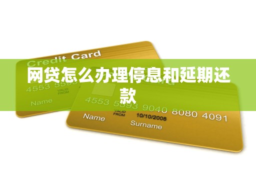 网贷怎么办理停息和延期还款