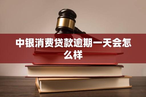 中银消费贷款逾期一天会怎么样
