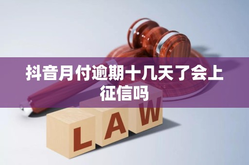 抖音月付逾期十几天了会上征信吗