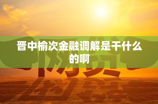 晋中榆次金融调解是干什么的啊