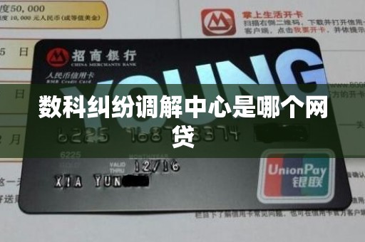 数科纠纷调解中心是哪个网贷