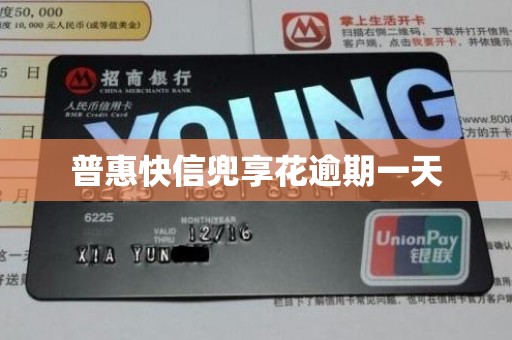 普惠快信兜享花逾期一天
