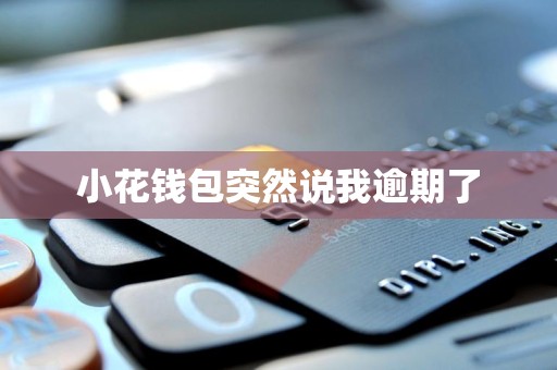 小花钱包突然说我逾期了