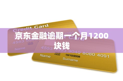 京东金融逾期一个月1200块钱