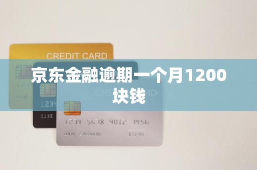 京东金融逾期一个月1200块钱