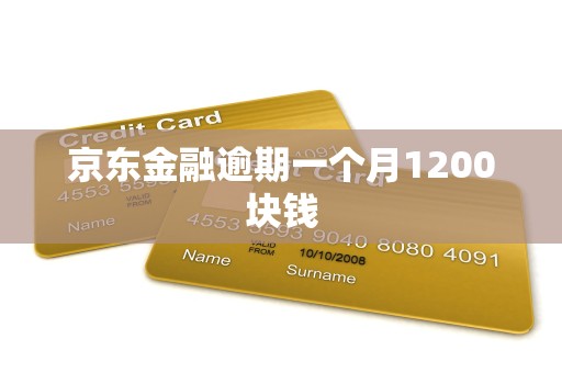 京东金融逾期一个月1200块钱