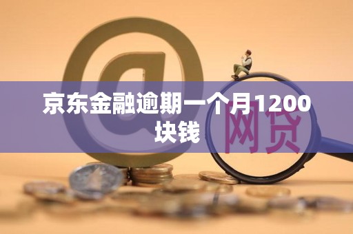 京东金融逾期一个月1200块钱