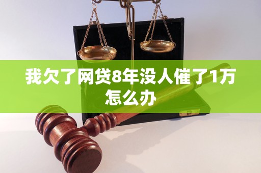我欠了网贷8年没人催了1万怎么办