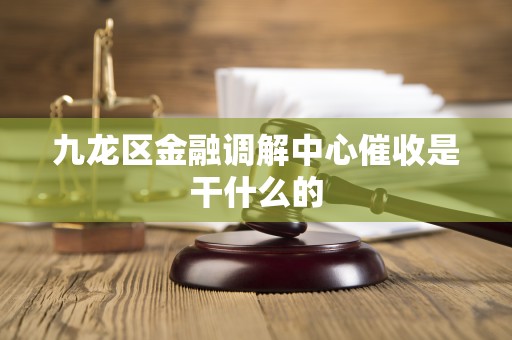 九龙区金融调解中心催收是干什么的