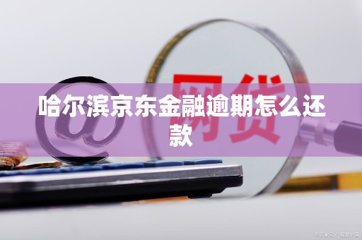 哈尔滨京东金融逾期怎么还款