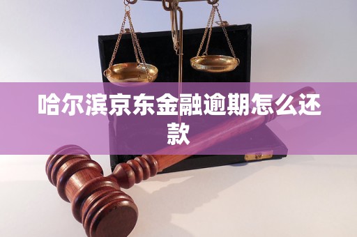 哈尔滨京东金融逾期怎么还款