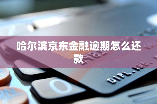 哈尔滨京东金融逾期怎么还款