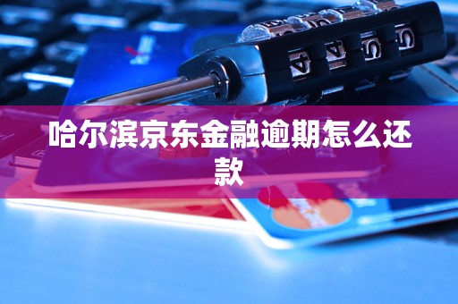 哈尔滨京东金融逾期怎么还款