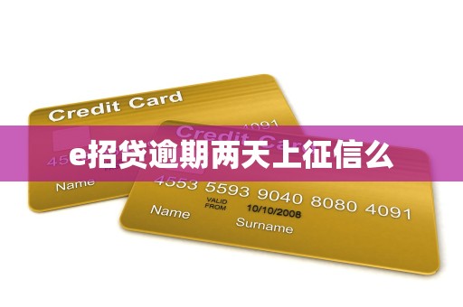 e招贷逾期两天上征信么