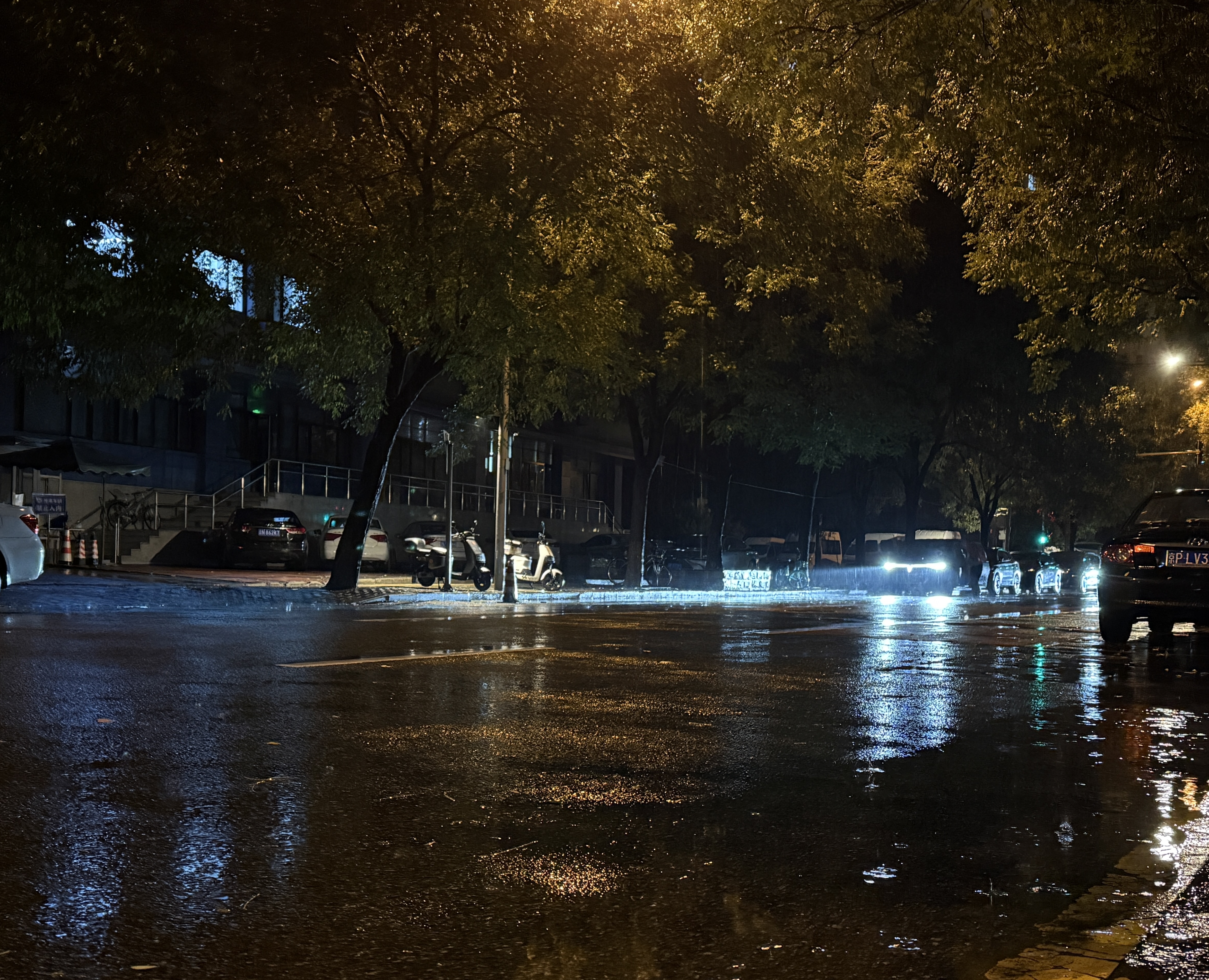 漫长秋雨因何而来？
