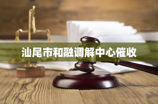 汕尾市和融调解中心催收