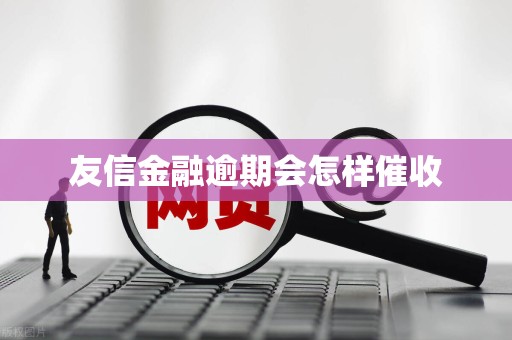 友信金融逾期会怎样催收