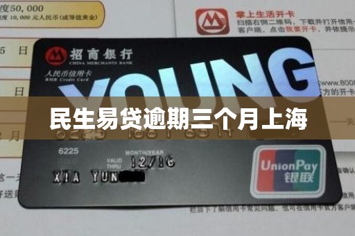民生易贷逾期三个月上海