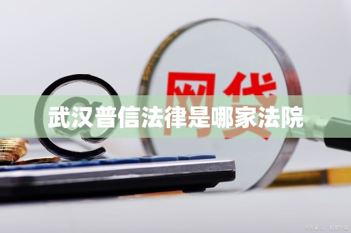 武汉普信法律是哪家法院