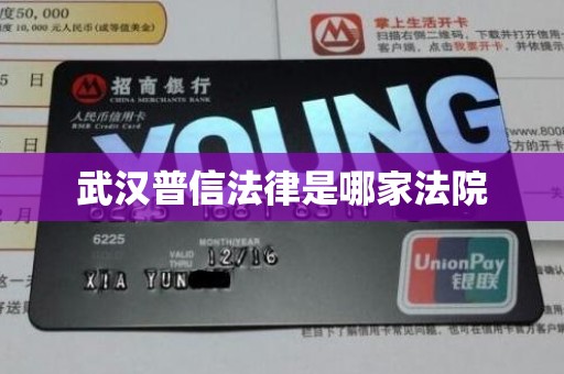 武汉普信法律是哪家法院