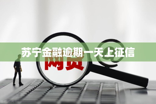 苏宁金融逾期一天上征信