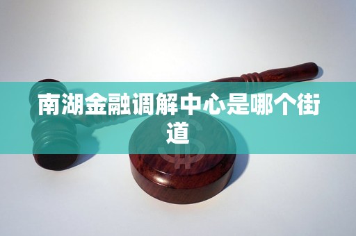 南湖金融调解中心是哪个街道