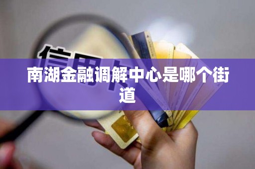 南湖金融调解中心是哪个街道