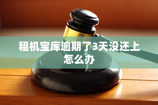 租机宝库逾期了3天没还上怎么办
