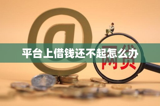 平台上借钱还不起怎么办