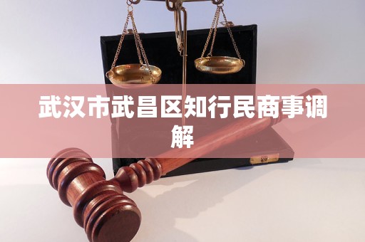 武汉市武昌区知行民商事调解