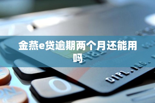 金燕e贷逾期两个月还能用吗