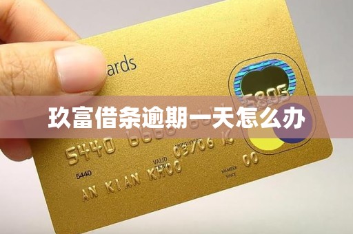 玖富借条逾期一天怎么办