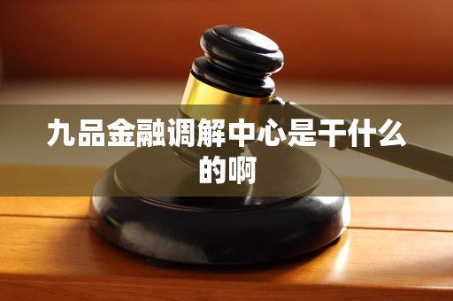 九品金融调解中心是干什么的啊