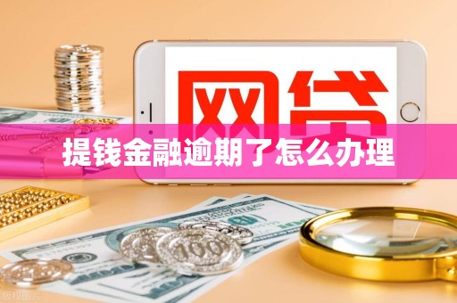 提钱金融逾期了怎么办理